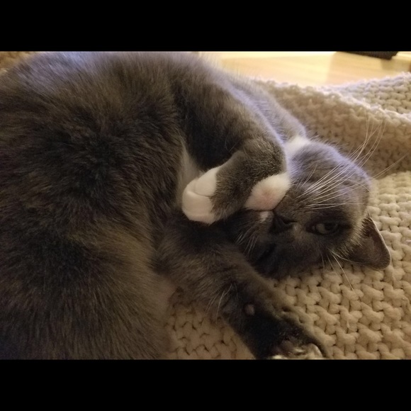 Meet your Posher, Renee - Picture 2 of 7