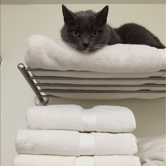 Meet your Posher, Renee - Picture 3 of 7