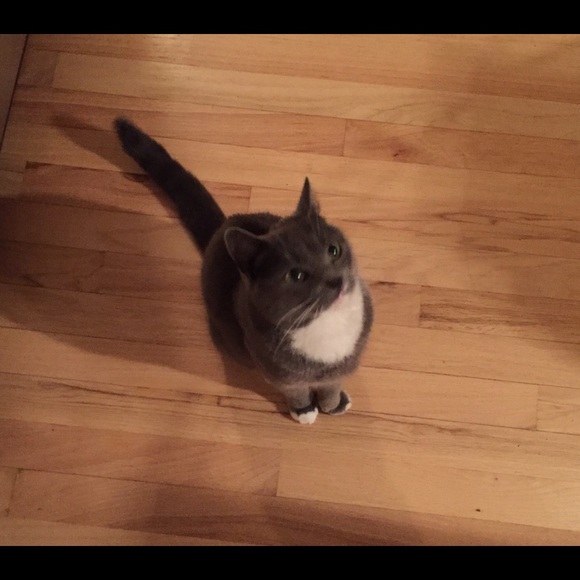 Meet your Posher, Renee - Picture 4 of 7