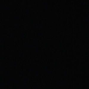 Meet your Posher, Bernard