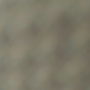 Meet your Posher, Sonya