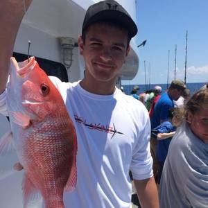 Meet your Posher, Carter