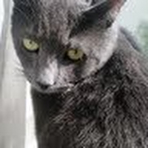 Meet your Posher, Aimee