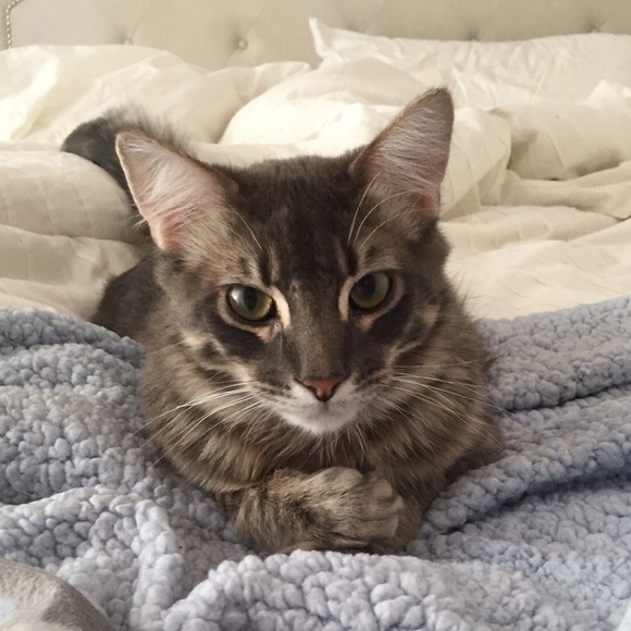 Meet your Posher, X - Picture 1 of 1