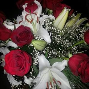 Meet your Posher, Guadalupe