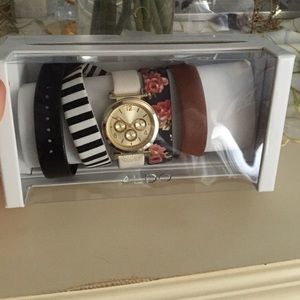 Aldo watch kit