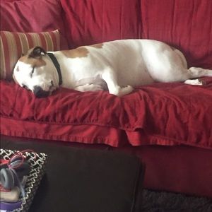 Meet your Posher, Kim