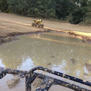 Meet your Posher, Hailey