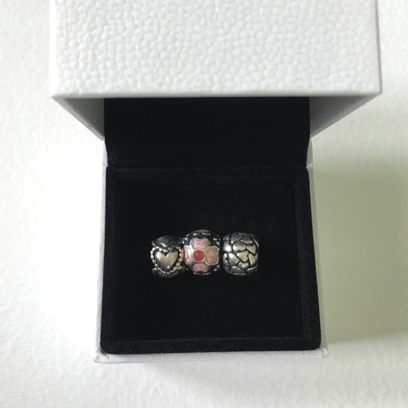 Pandora Charms