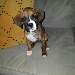 Meet your Posher, Danielle