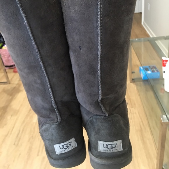 Tall Grey Uggs