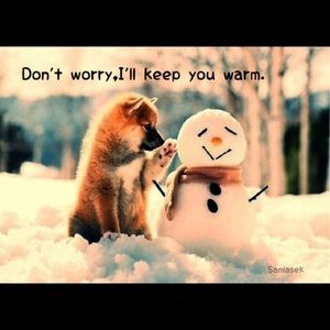 Cozy lives  here🌋🌅☃🌞