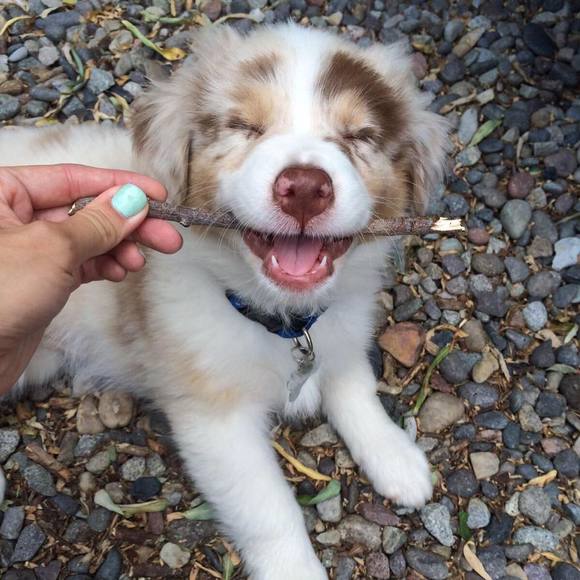 Meet your Posher, Brianna - Picture 2 of 4