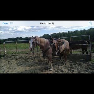 Meet your Posher, Judy