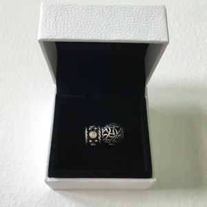 Pandora Charms