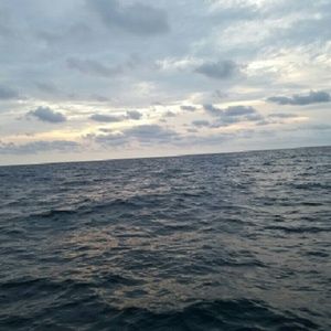 Meet your Posher, Carissa