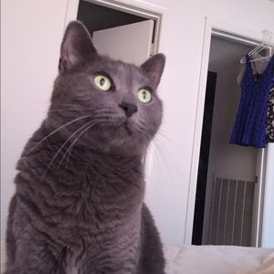 Meet your Posher, Leah