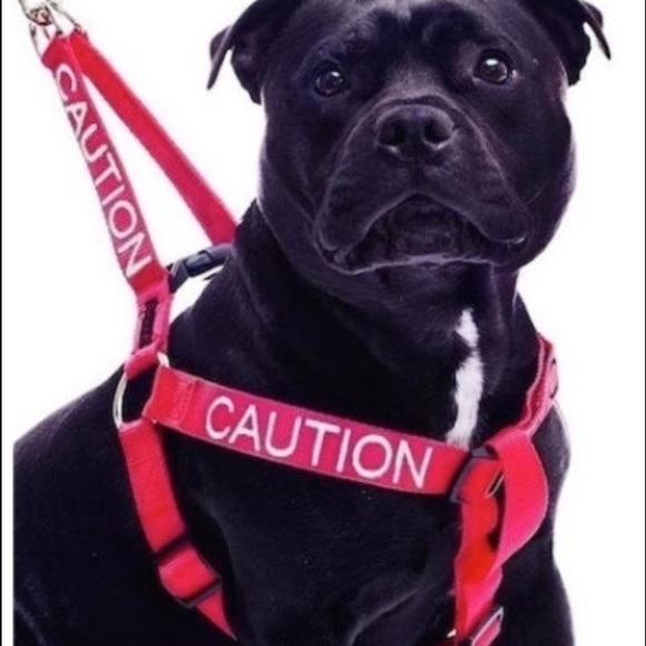 Caution dog harness - Picture 1 of 1