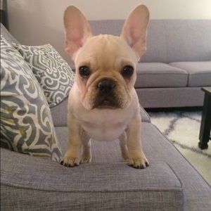 Meet your Posher, Katie