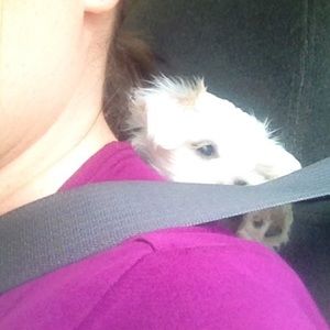 Meet your Posher, Stephanie