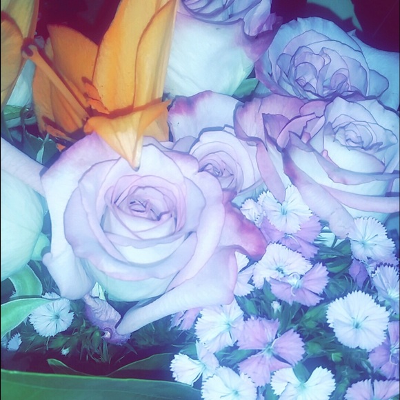 Meet your Posher, Tamren