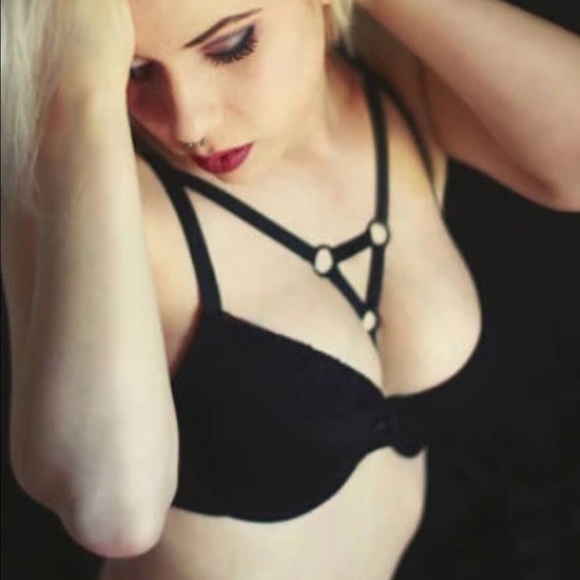 Body harness - Picture 2 of 2