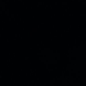 Meet your Posher, Keira