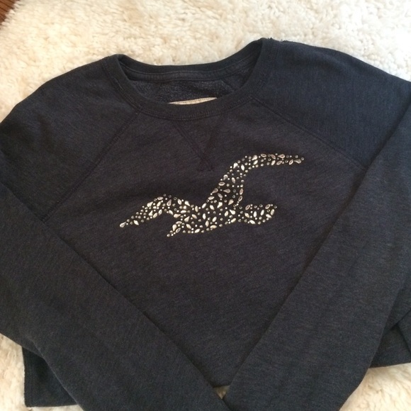 Hollister Tops - Hollister navy blue sweatshirt