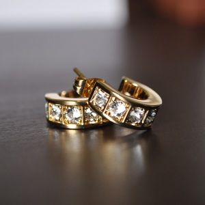 Brand New Coach Earrings