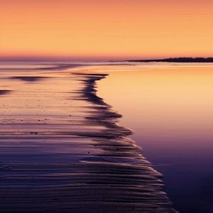 Meet your Posher, Abbie