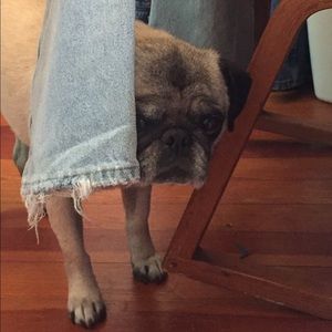 Meet your Posher, Krista