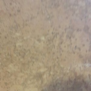 Meet your Posher, Kara