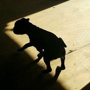 Meet your Posher, Victoria