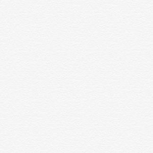 Meet your Posher, Kenzie