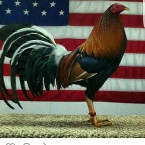 Meet your Posher, Eleazar