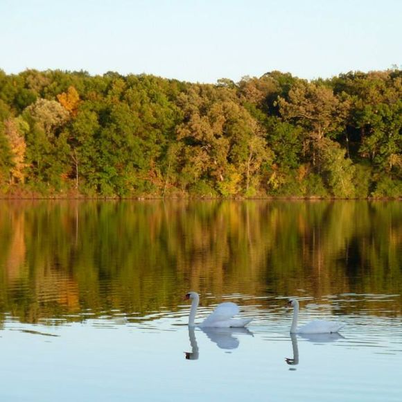 Meet your Posher, Marie