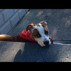 Meet your Posher, Leeann