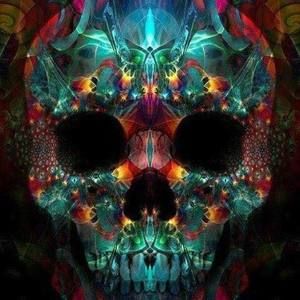 Meet your Posher, Sue