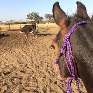 Meet your Posher, Aubree