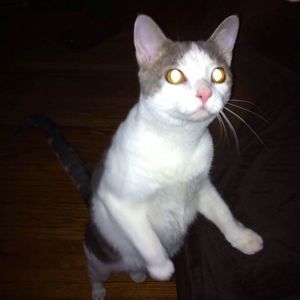 Meet your Posher, Debra