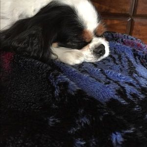 Meet your Posher, Robin