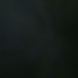 Meet your Posher, Trent