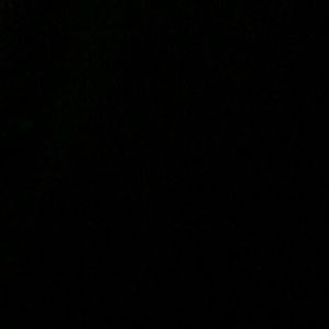 Meet your Posher, Monae