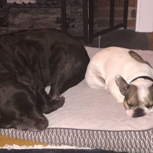 Meet your Posher, Yana