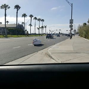 Meet your Posher, Ashleigh