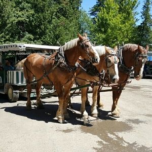 Meet your Posher, Ellen