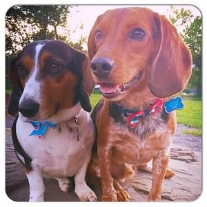 Meet your Posher, Chelsea