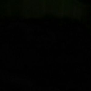 Meet your Posher, Donald