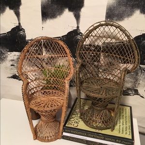 The coolest rattan plant stand/decoration chairs!