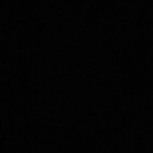 Meet your Posher, Anne